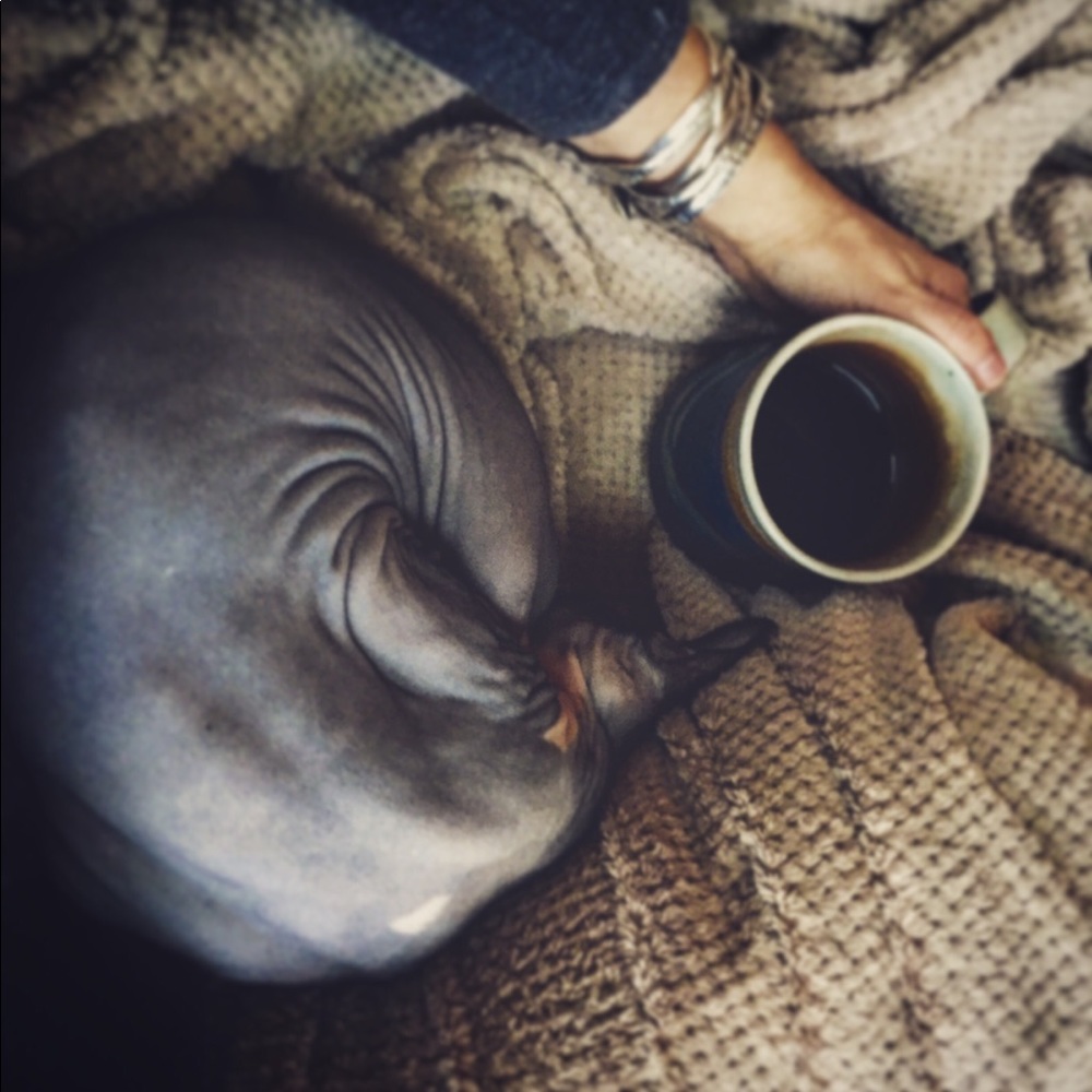 Meet your Posher, Meghan